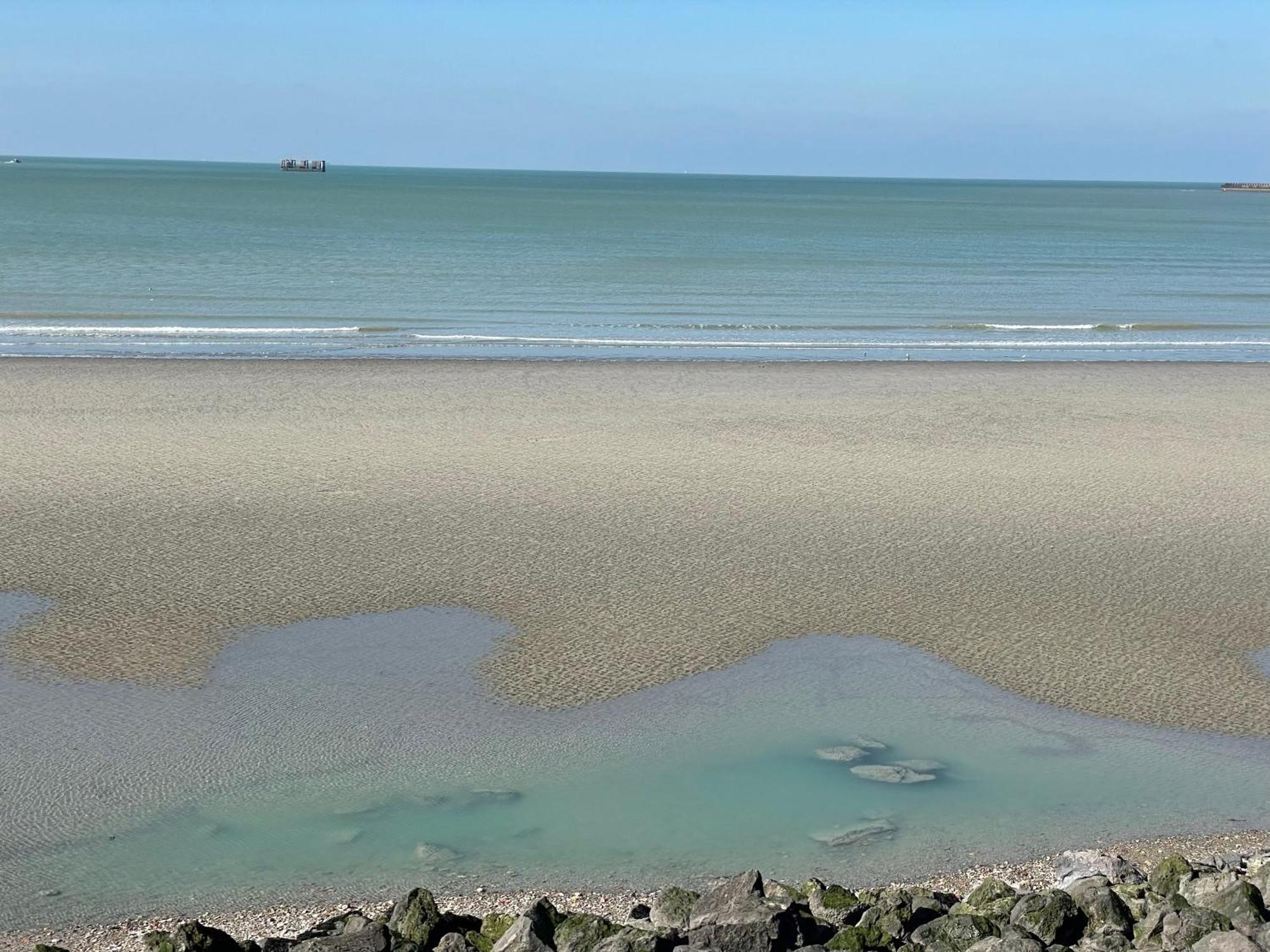 Villa Face Mer Aux Magnifiques Couchers De Soleil 5 Mn De Nausicaa Boulogne-sur-Mer Exterior foto
